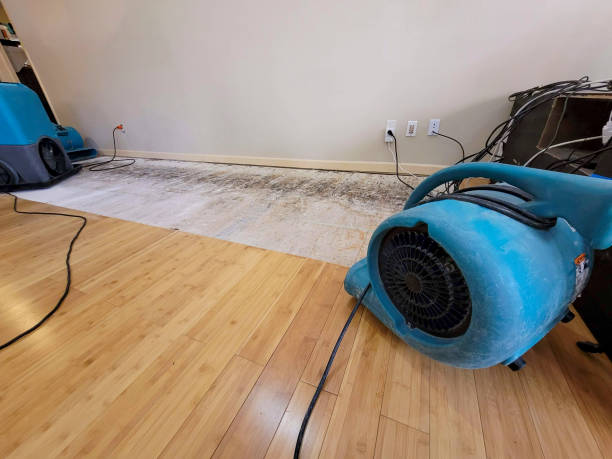 Reliable Basement Flood Cleanup contractor in Woodburn, OR by Hirex Water Damage