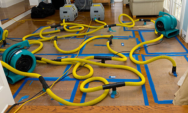 Professional Basement Flood Cleanup technician working in Woodburn, OR